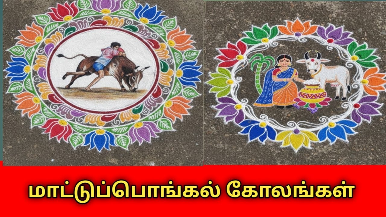 Mattu Pongal Kolam 2026 | Easy & Traditional Pongal Rangoli Designs|| மாட்டுப் பொங்கல் கோலங்கள் 2026