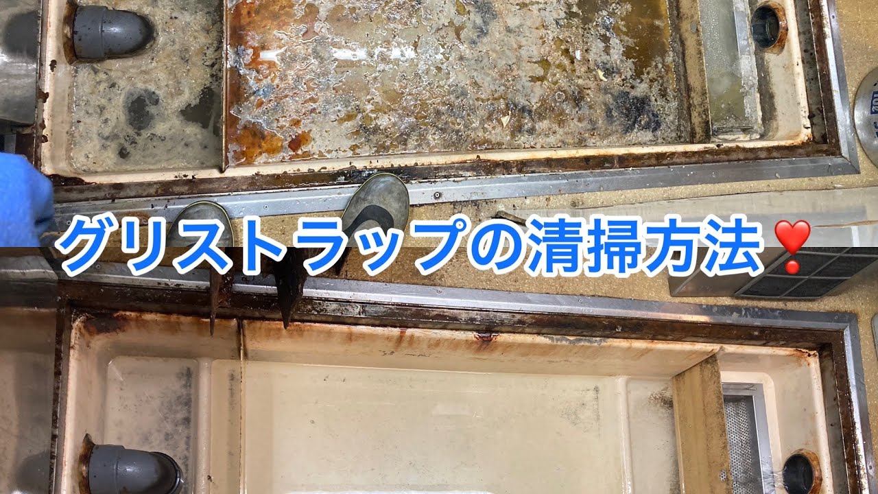 グリストラップの定期清掃❣️掬い網を使って綺麗にしてみた🥺