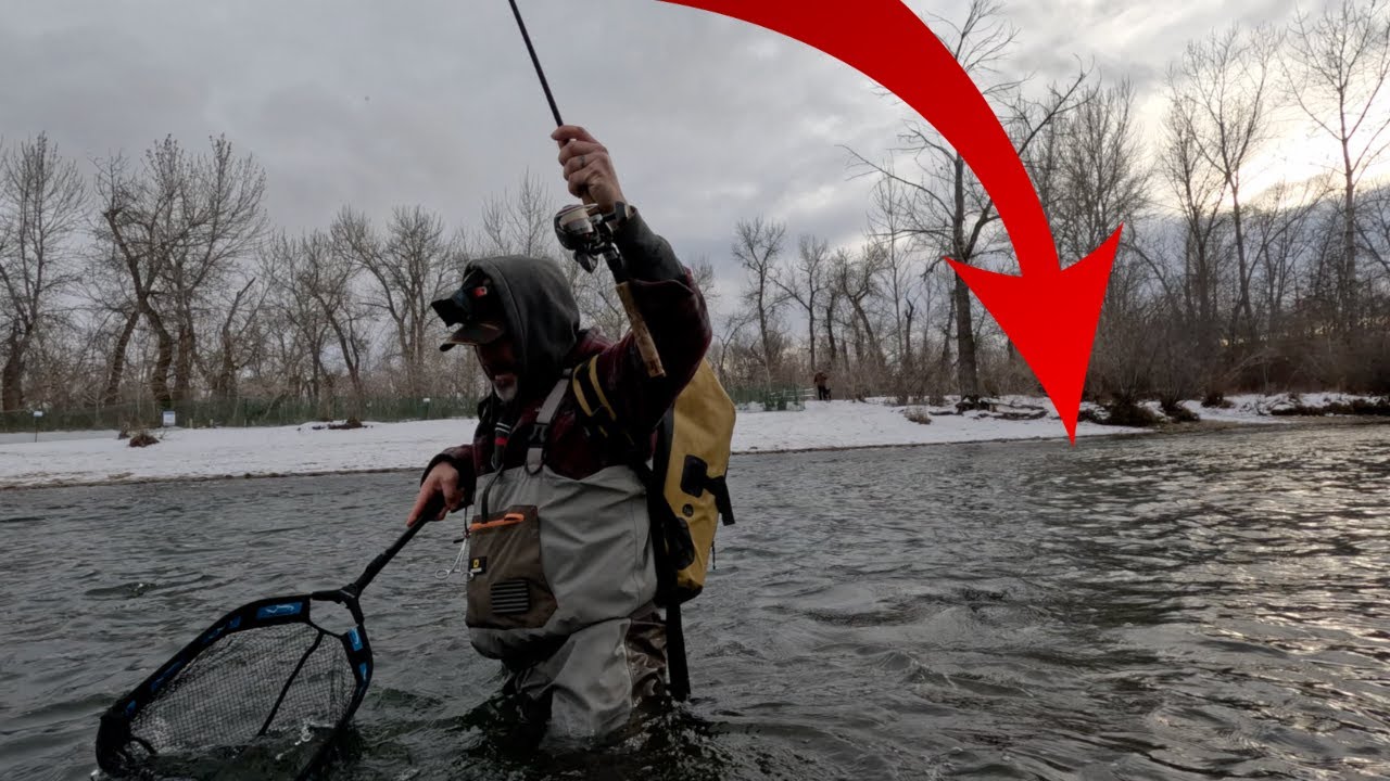Steelhead & GIANT Rainbows all in this Spot Right in Town