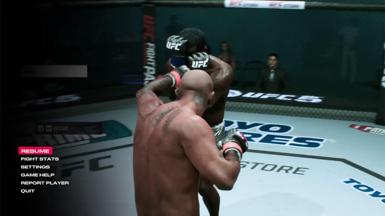 UFC NEW SZN