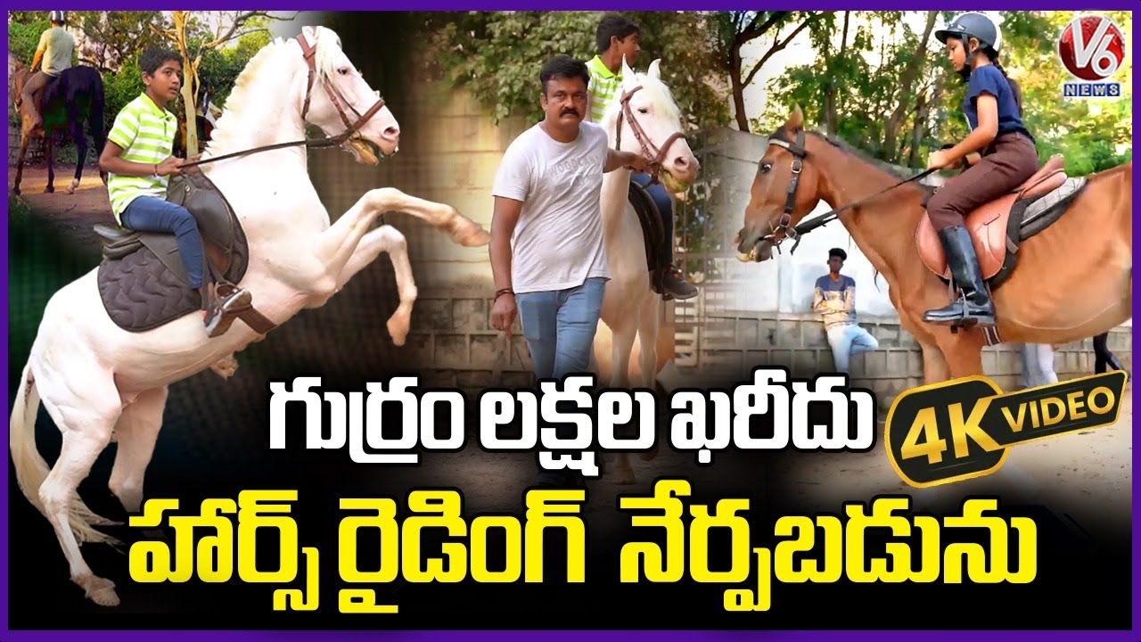 Horse Riding School In LB Nagar | What To Feed Riding Horses | Naveen Farms | 4K Video | V6 News