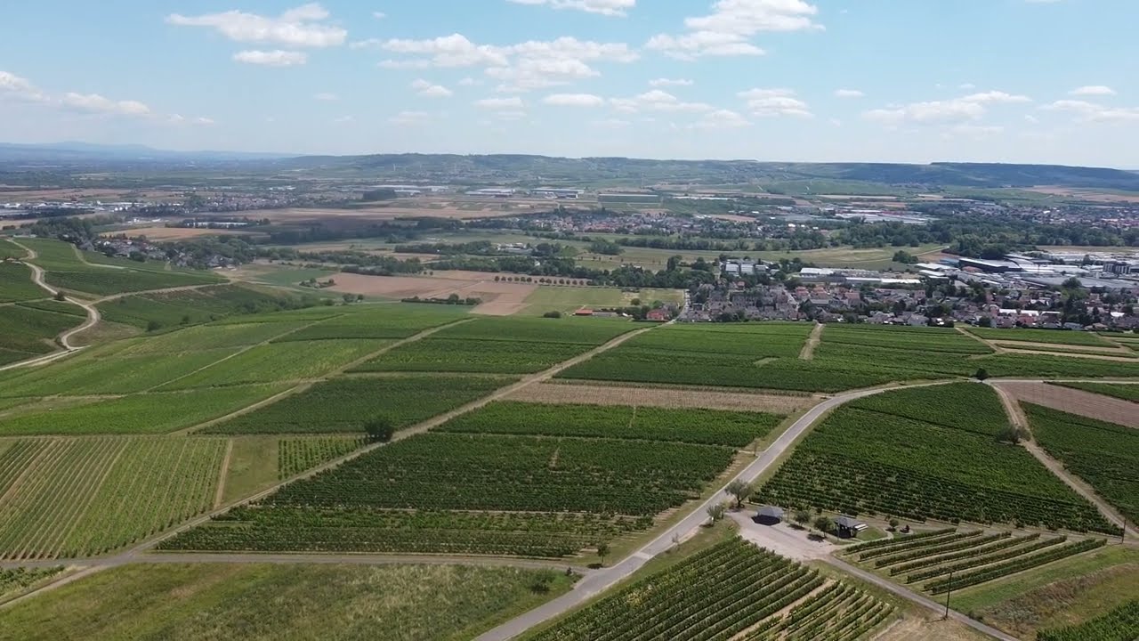 Drohnenflug bei Langenlonsheim