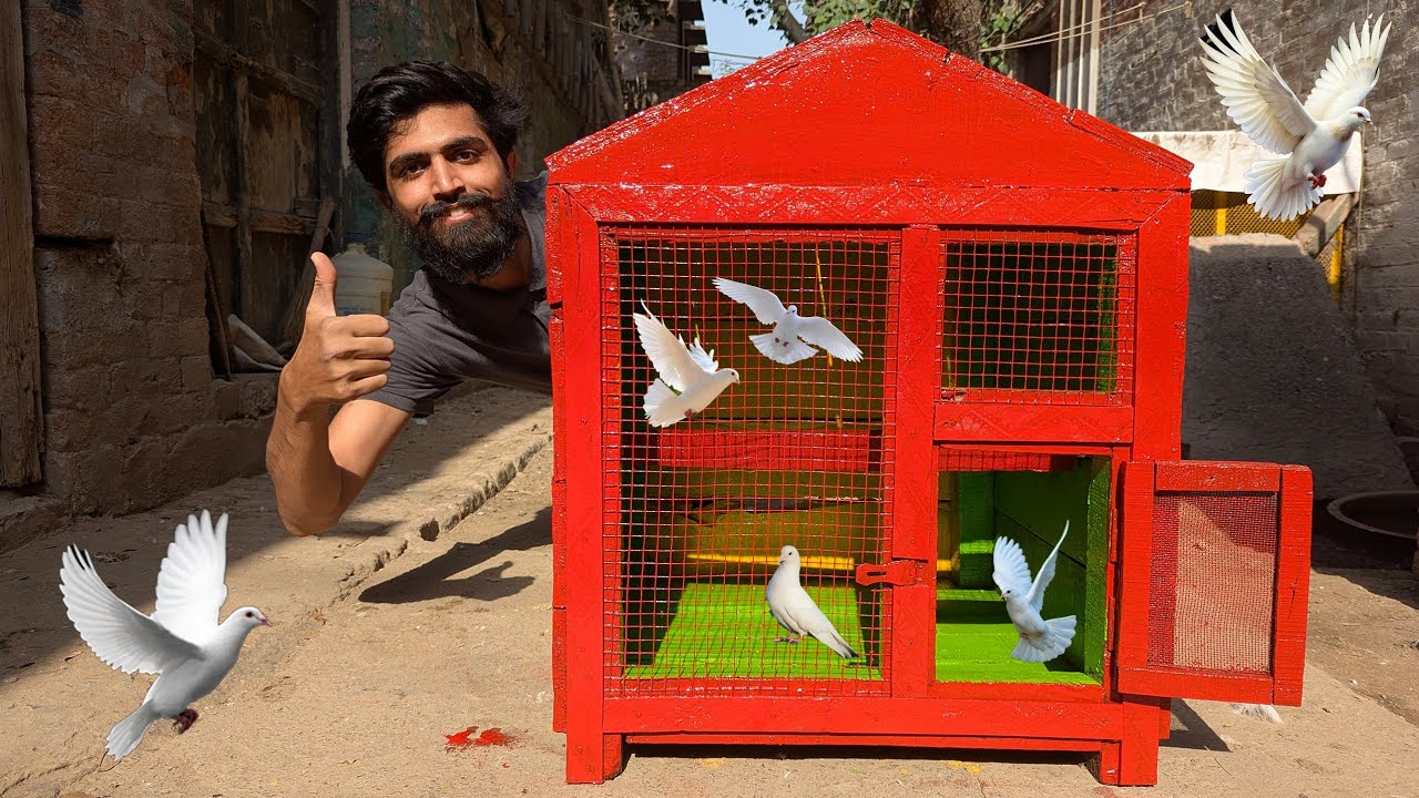 Renovate My Old Bird Cage By Spending Many Days In Real Life ❤️