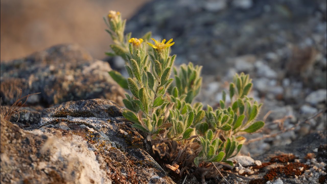 Panasonic Lumix G7 in 2025 video test 4k