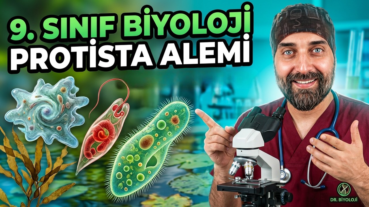 9. Ders: Protista | Dr. Biyoloji 9. Sınıf Yeni Müfredat