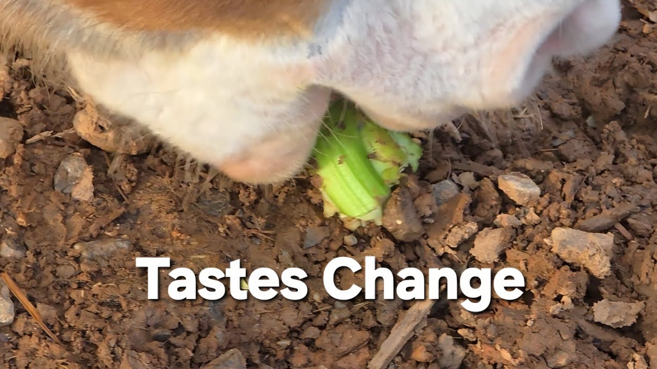 Something NEW w Ashling. Get it girl!