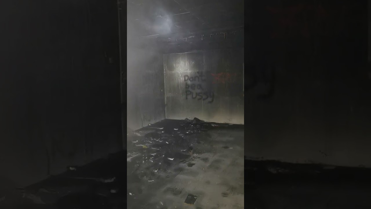 Exploring the wallnut tree bunker