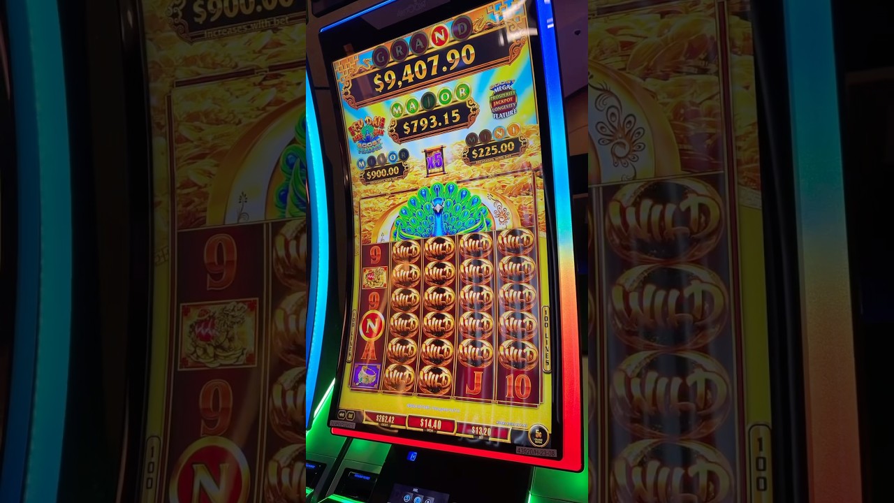 Screen of Wilds Finally Delivers What We Dreamed Of #casino #slot #gambling