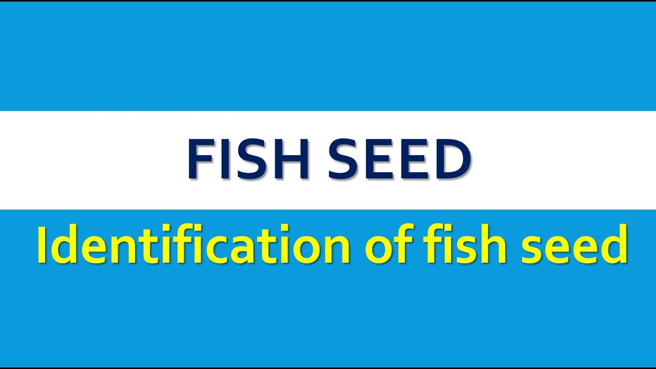 fish seed identification | fishery science