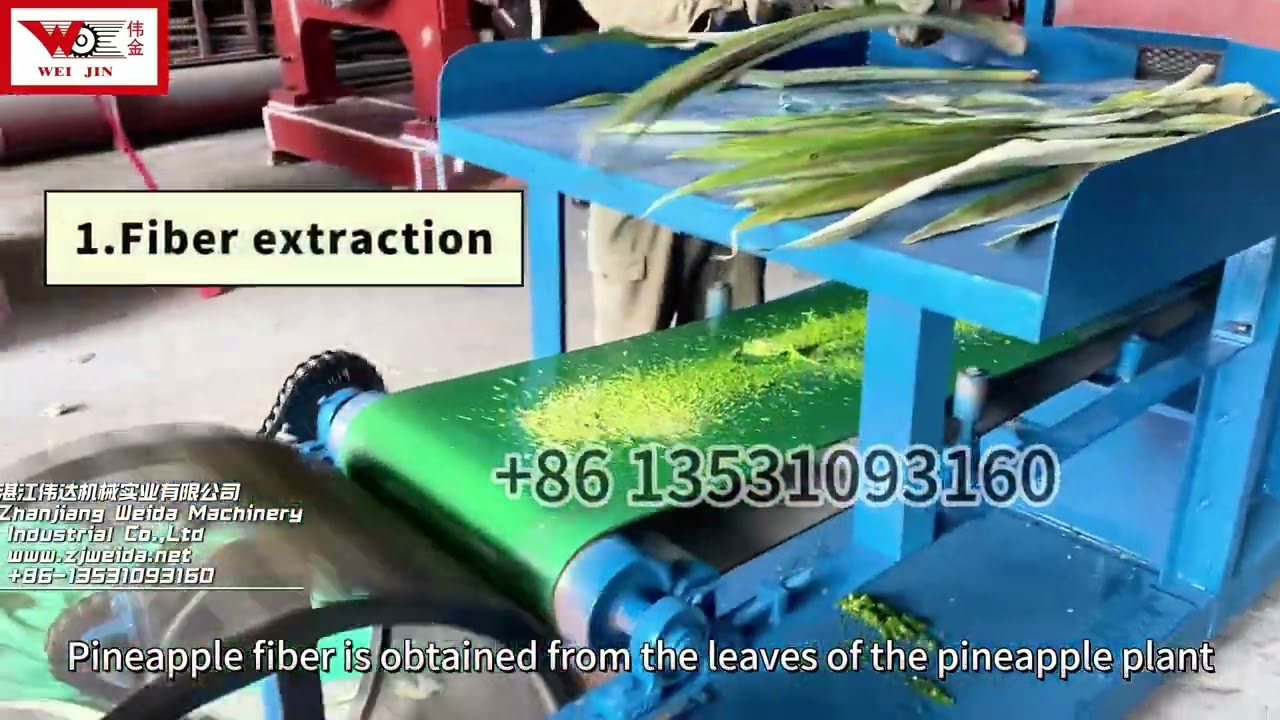 🌿Do You Know What Pineapple Leaves Can Do? 🌍 New Machine Saves 80% Water & Extracts Fibers 4x Faster