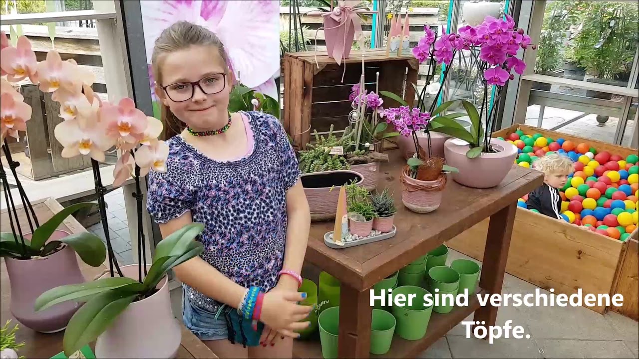 Im Blumengeschäft in deutscher Gebärdensprache