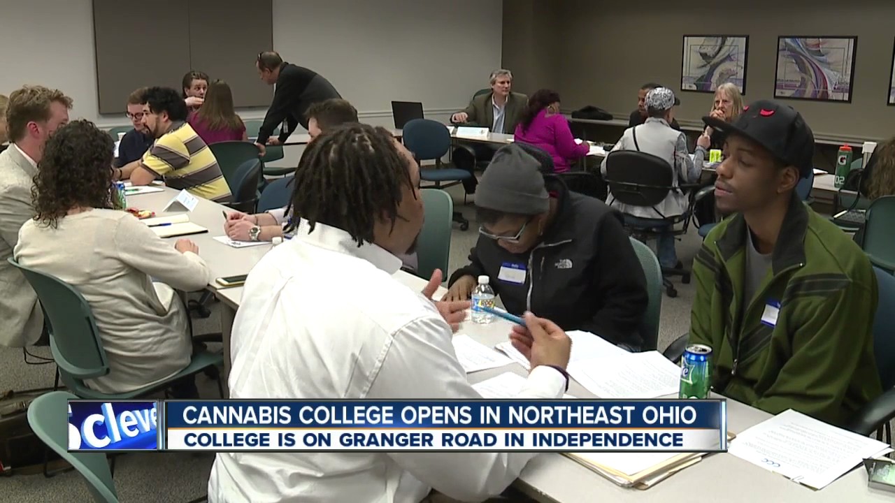 Cannabis College