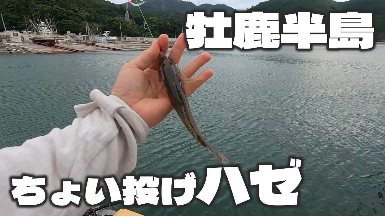 牡鹿半島の漁港でちょい投げハゼ釣り