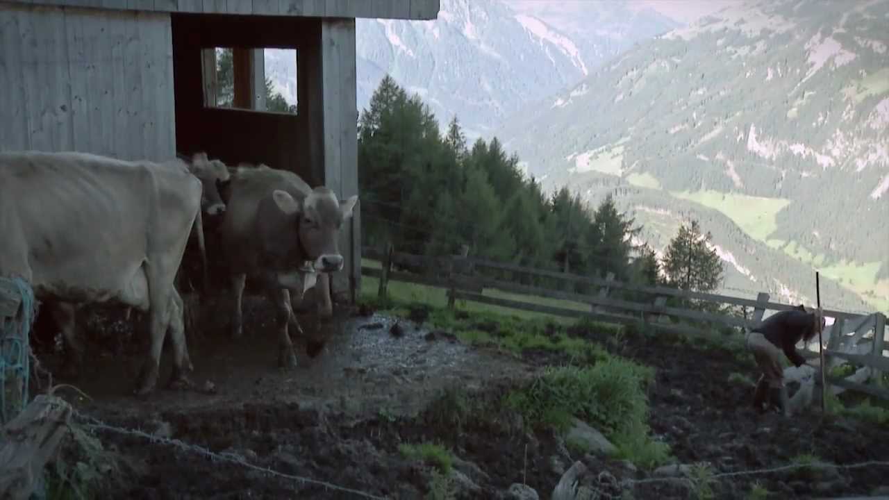 Heumilch - Almleben
