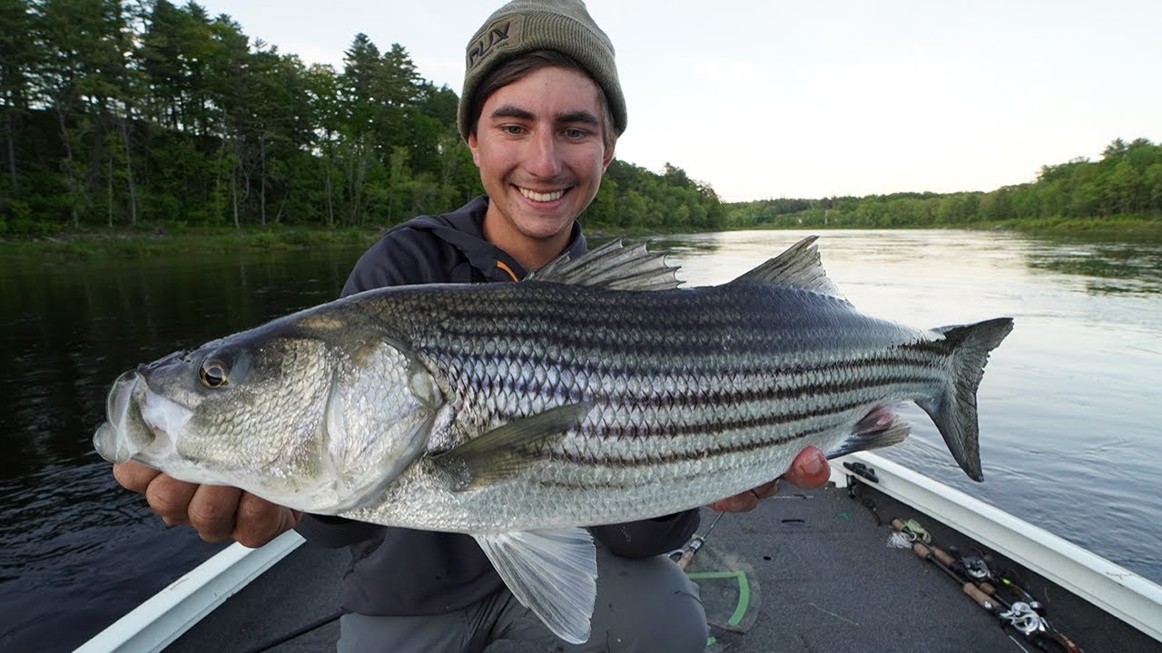 These Fish are NUTSS!!!
