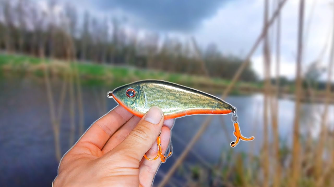 Post-Spawn River Pike Fishing With The Westin Swim!