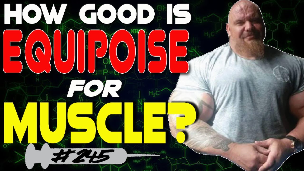 How Good Is Equipoise For Building Muscle Ft Zack Khan