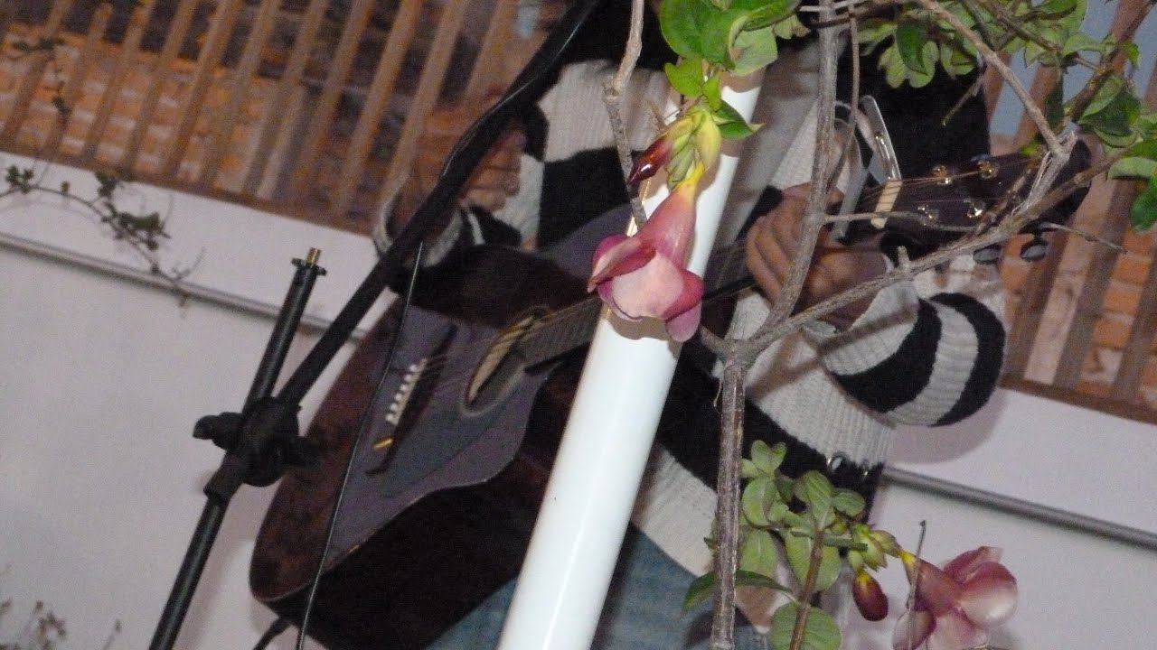 Cuando Lloramos Juntas - Romina no te duermas 