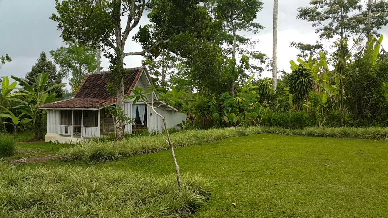 Jamu Spa School opens classes in Penyabangan, Ubud