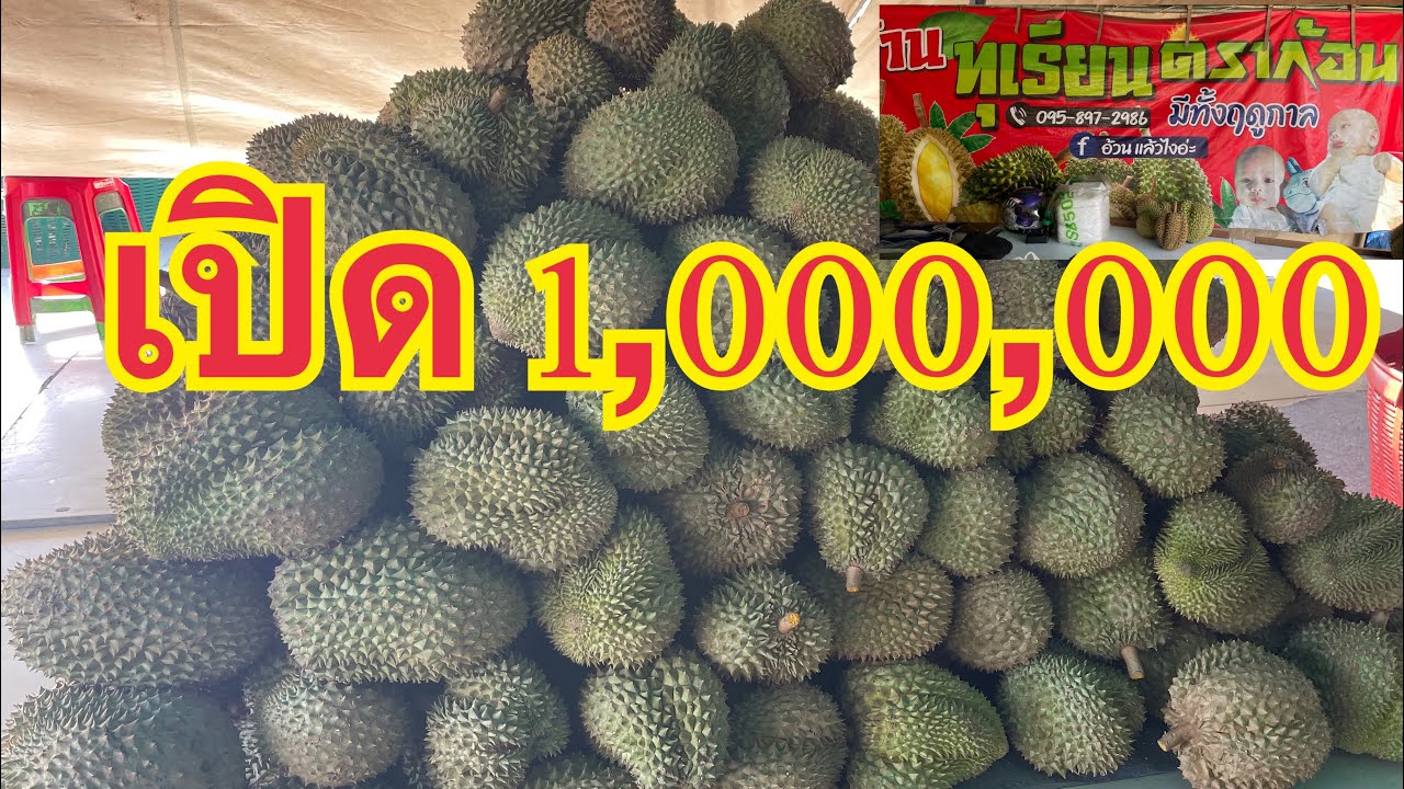 เปิด 1,000,000 แล้ว 📣ทุเรียนหมอนทอง #ร้านทุเรียนดราก้อน #thailand 