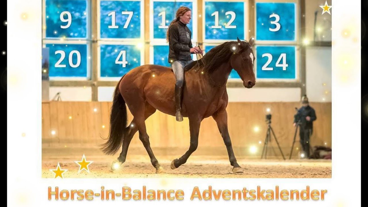 Horse-in-Balance Adventskalender 2023: Tuerchen Nr. 24