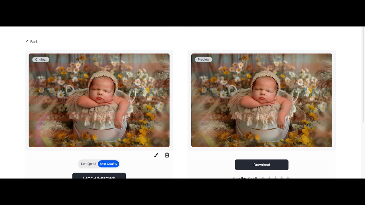 Ai photo watermark removal - how to protect your online galleries against theft as a photographer