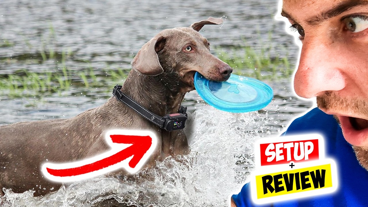 Anti Bark Collars For Dogs | NON SHOCK & HUMANE!