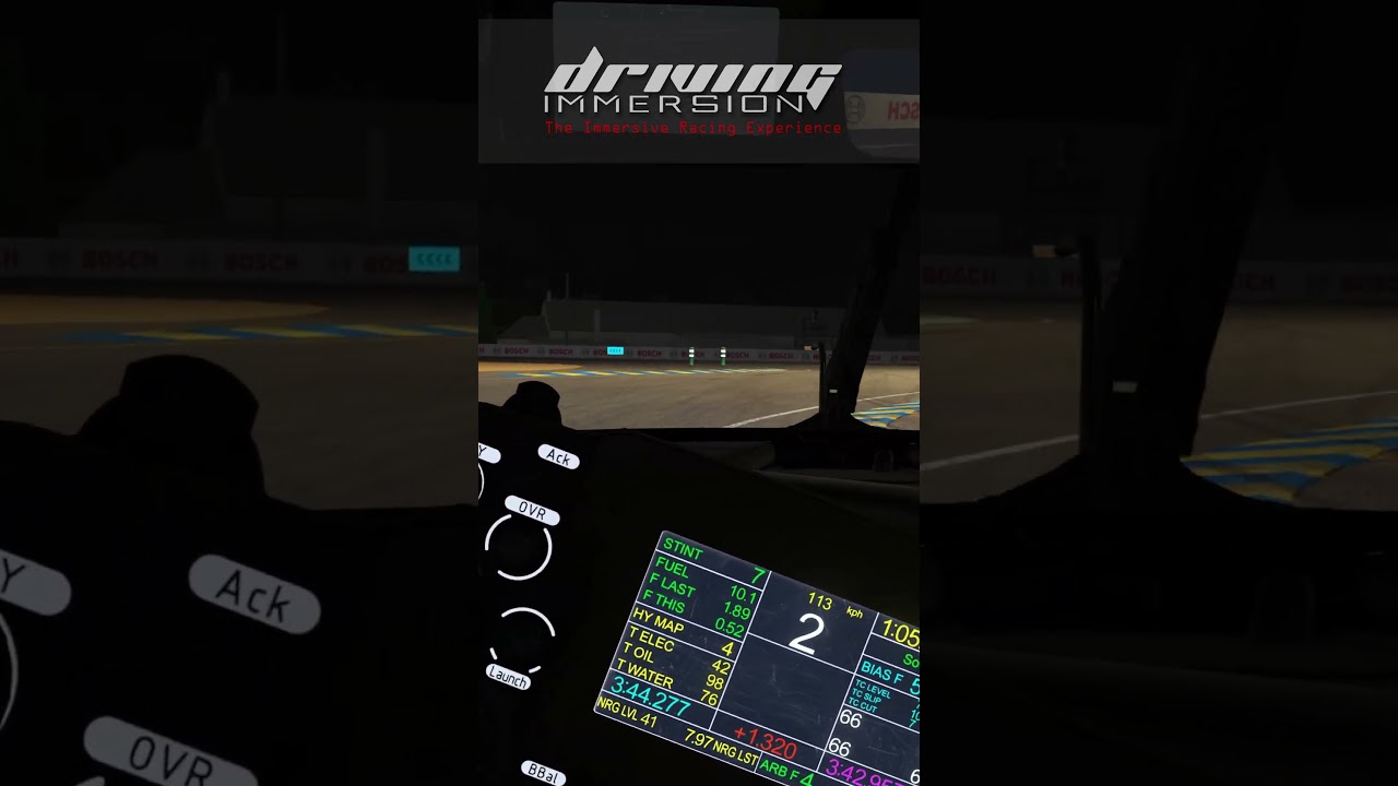 The Immersive Driving Experience