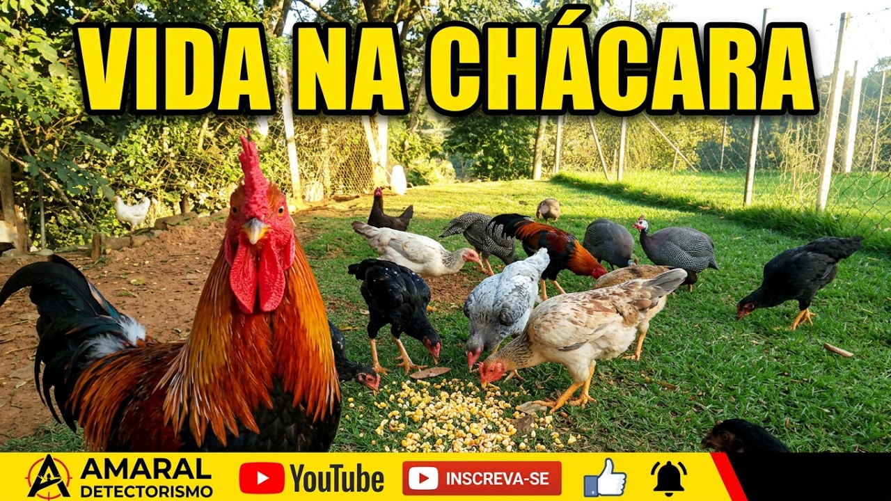 Recanto do Billy, Ponunduva