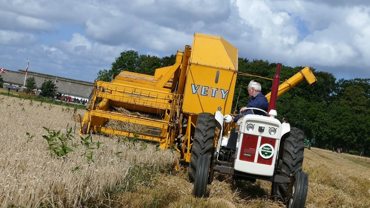 Harvesting in The Good Ol' Days | David Brown, Internation & Deutz Pulling Combines | DK Agriculture