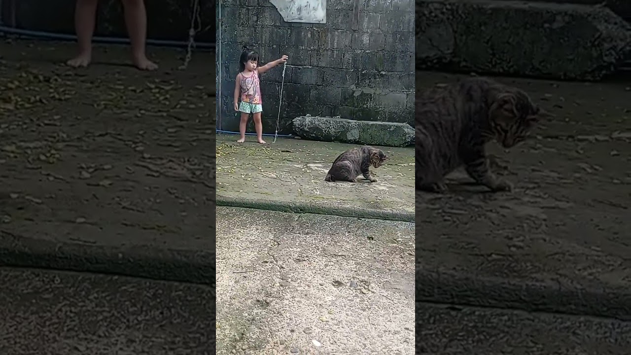 Cat lover po siya