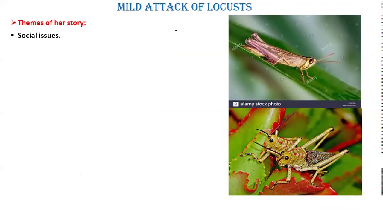 A Mild Attack of Locusts(Biography & Summary) Lec-1 | English | FSc_ICS_I.Com F.A-I l Ujala Fatima l