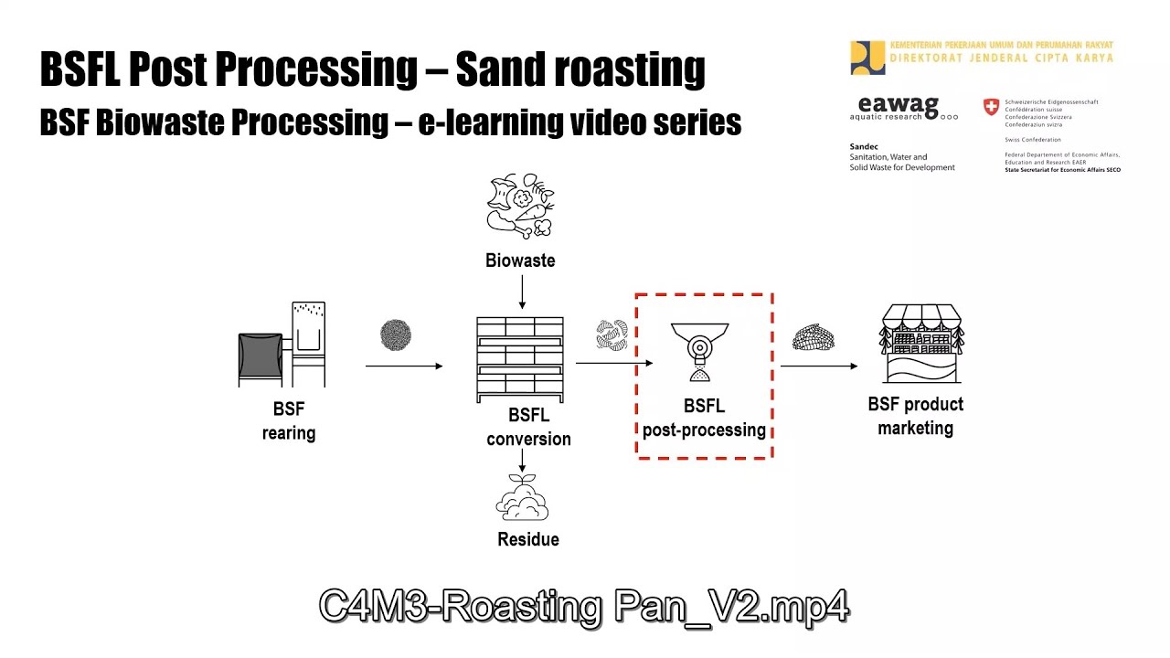 BSFL Post-processing - Sand Roasting - BSF Biowaste Processing e-learning video series