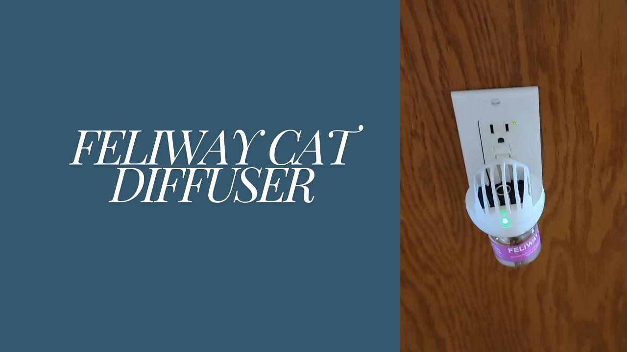 Feliway diffuser