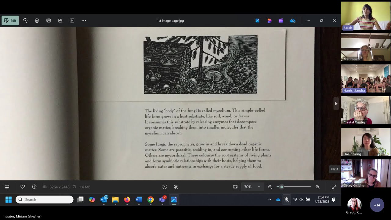 Through a New Lens: Artists’ Books and their Creators in the 2025 Museum Studies Exhibition