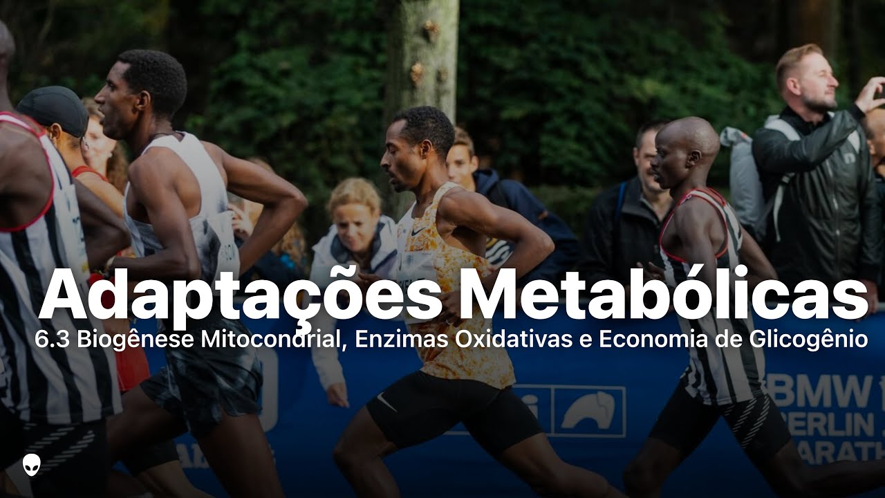 Adaptações Metabólicas Corrida: Biogênese Mitocondrial, Enzimas Oxidativas e Economia de Glicogênio