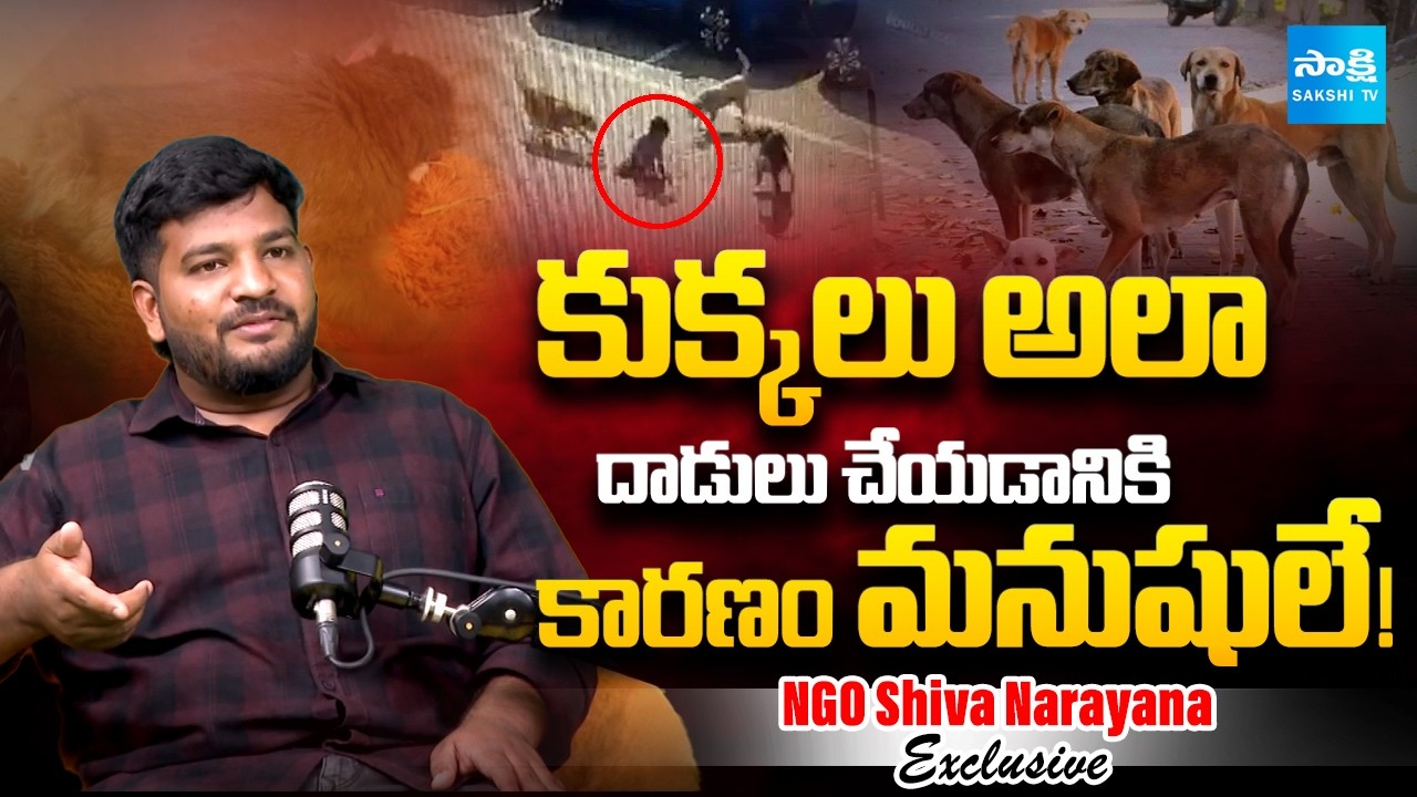 Stray Dogs Attack: NGO Shiva Narayana Explains Reasons Behind Dogs Bite Humans | Sakshi Family