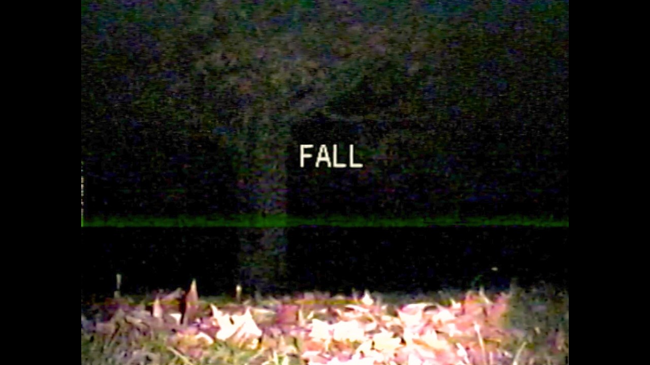 the leaves can't fall without my tears falling beside them