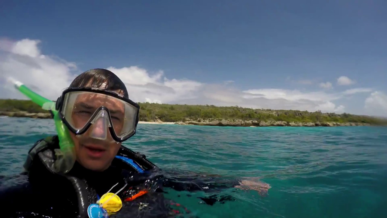 Scuba Bonaire Weber's Joy