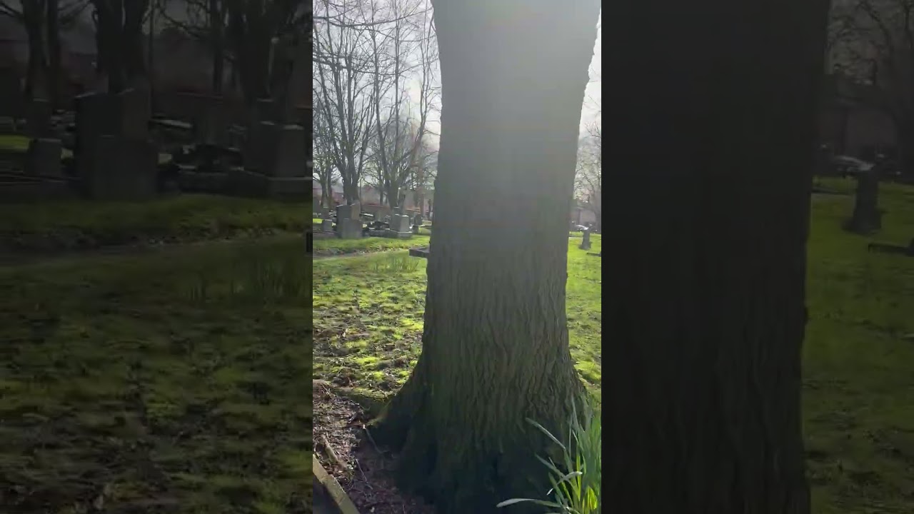 Prescott Cemetery walkthrough 