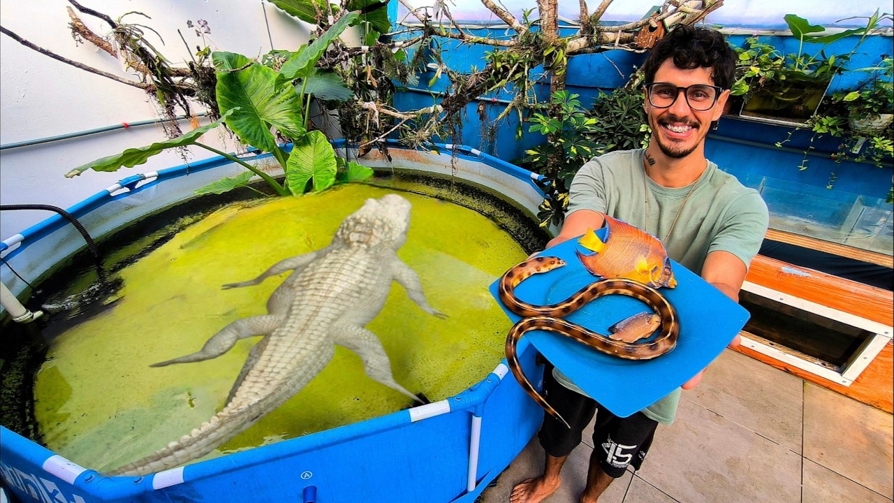 COLOQUEI ESSES PEIXES EXÓTICOS NA PISCINA PROS MEUS MONSTROS COMEREM