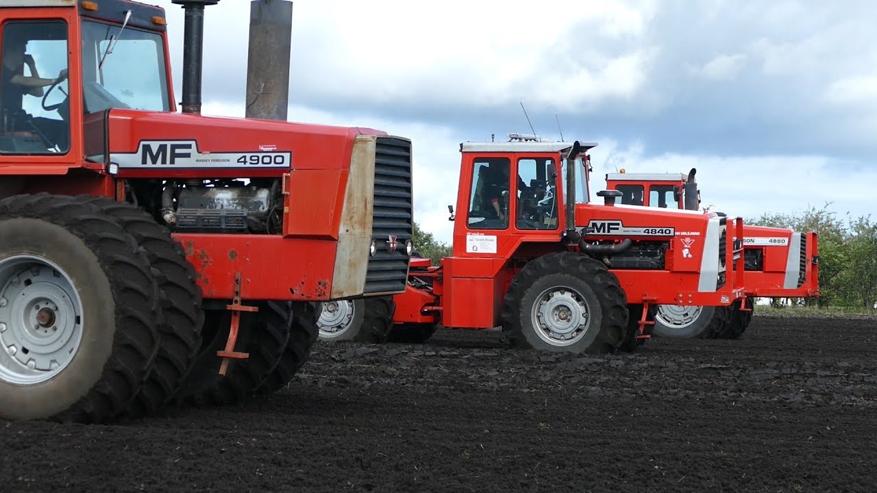 Massey Ferguson 4840, 4880 & 4900 Working Hard in The Field at MF Field Days | Danish Agriculture