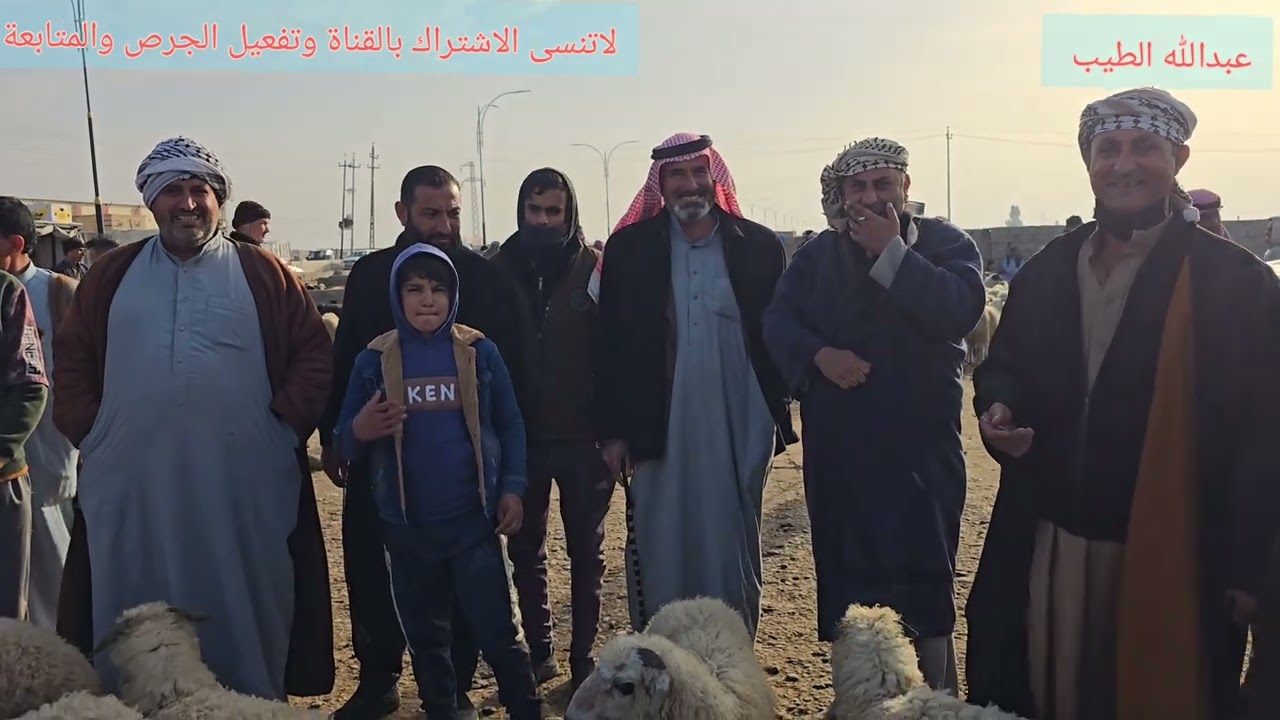 سوق مواشي صلاح الدين قضاء الشرقاط ناحية اشور 2026/2/1 #مواشي #عبدالله_الطيب #اغنام 