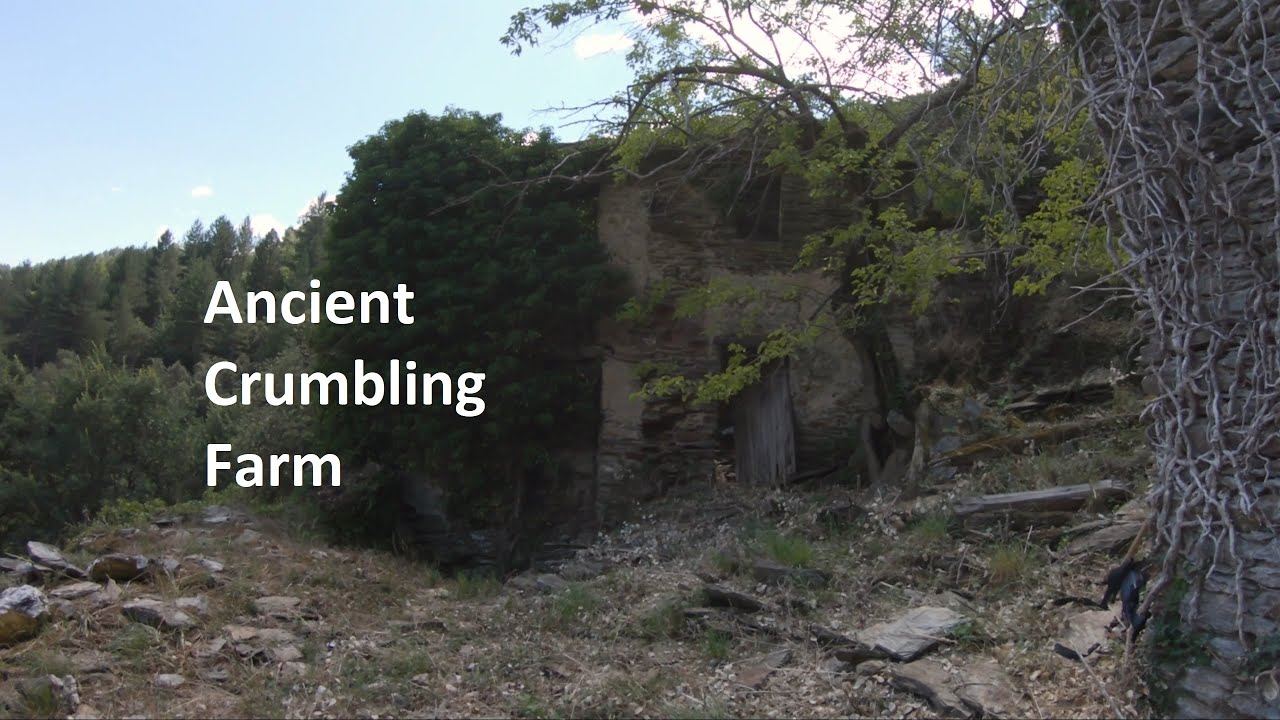 Exploring an ancient farm overgrown by nature in the French Cevennes