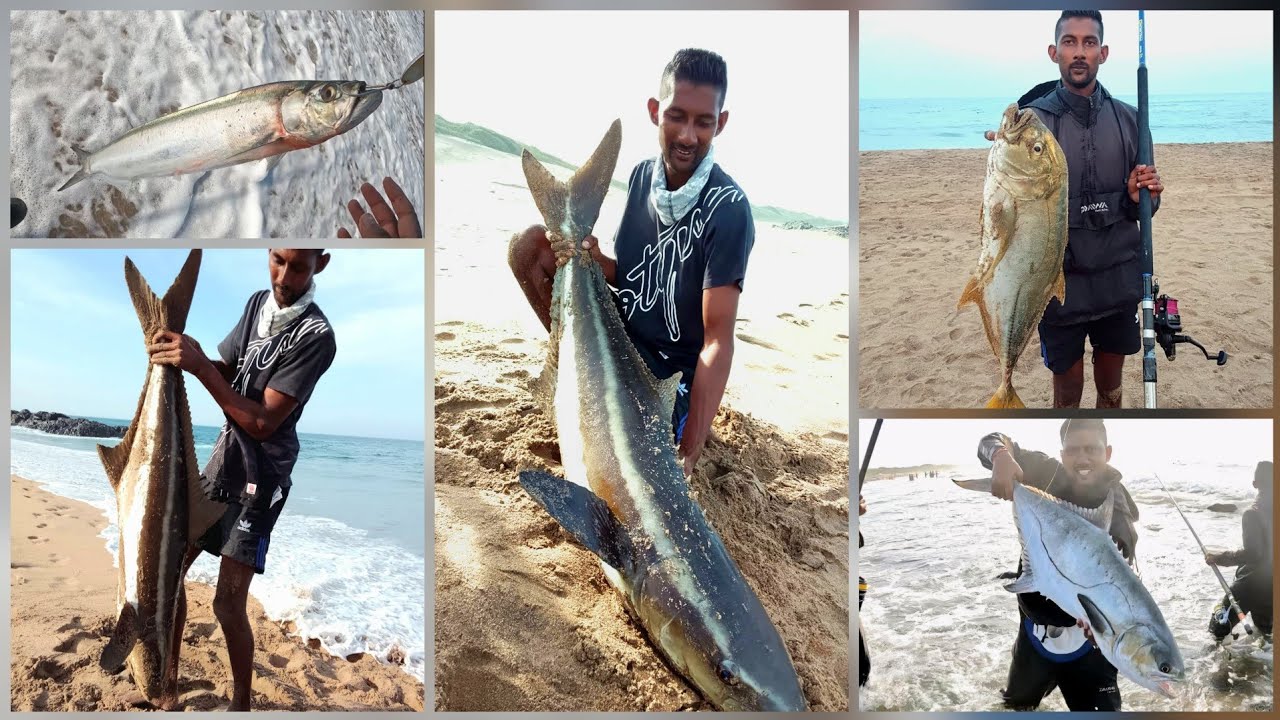 Огромная кобия весом 30+ кг/60 фунтов #SARDINERUN2025 #cobia#garrick#jiganddrop#fishingsouthafric...