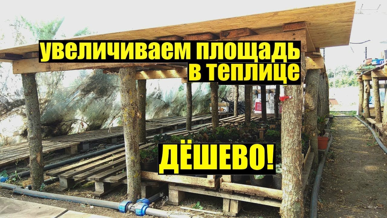 Два яруса в теплице. Обзор.