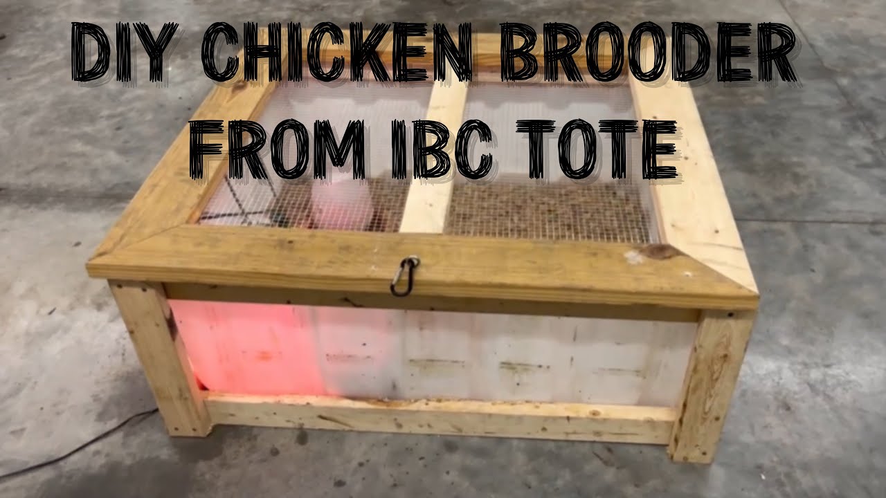 Building A Chicken Brooder Cheap From An IBC Tote