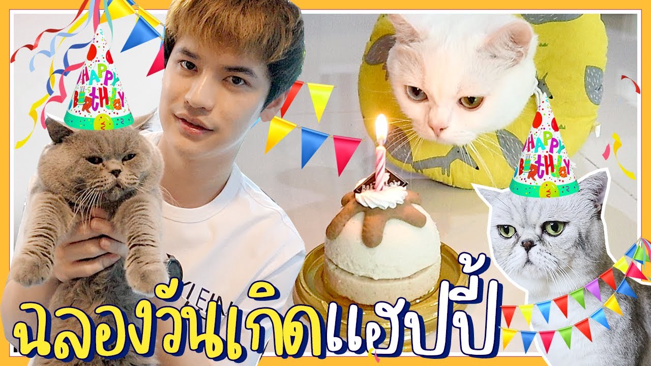 เซอร์ไพรส์วันเกิดแฮปปี้ เป่าเค้กฉลอง 1 ขวบ  🥰🎉 | ติดเต๋า