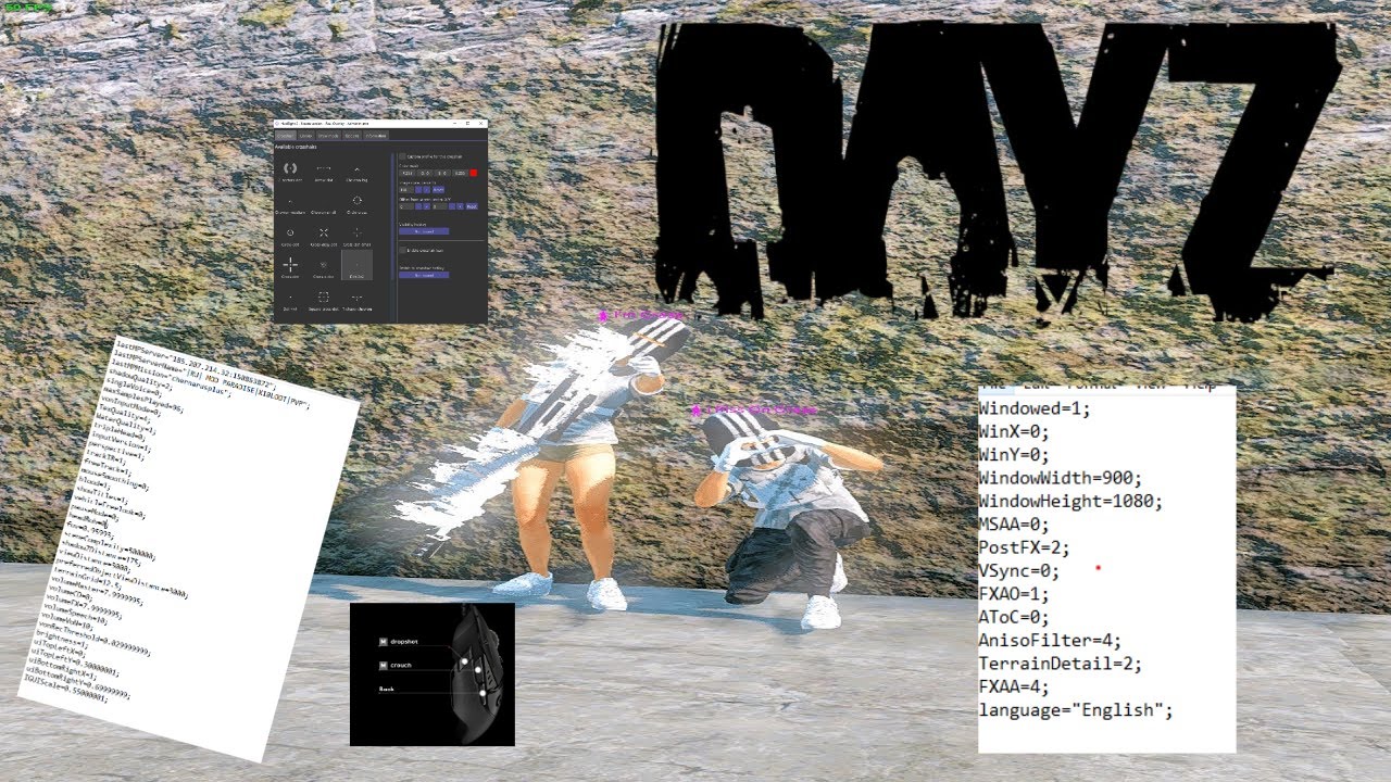 Best DayZ PVP Settings 2025 - Settings, Reshade, Crosshair, Keybinds