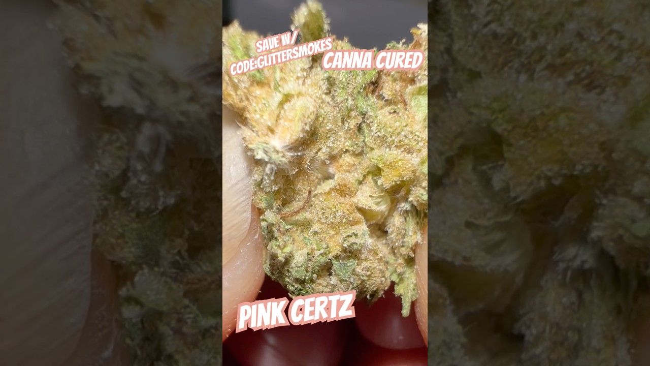 Pink Certz from Canna Cured #subscribe #freetheplant #420community #hemphealing #momswhosmoke #420